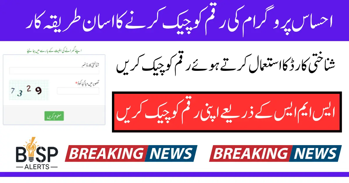 8171 Check Online Ehsaas Tracking 8171 Pass Gov Pk 2026