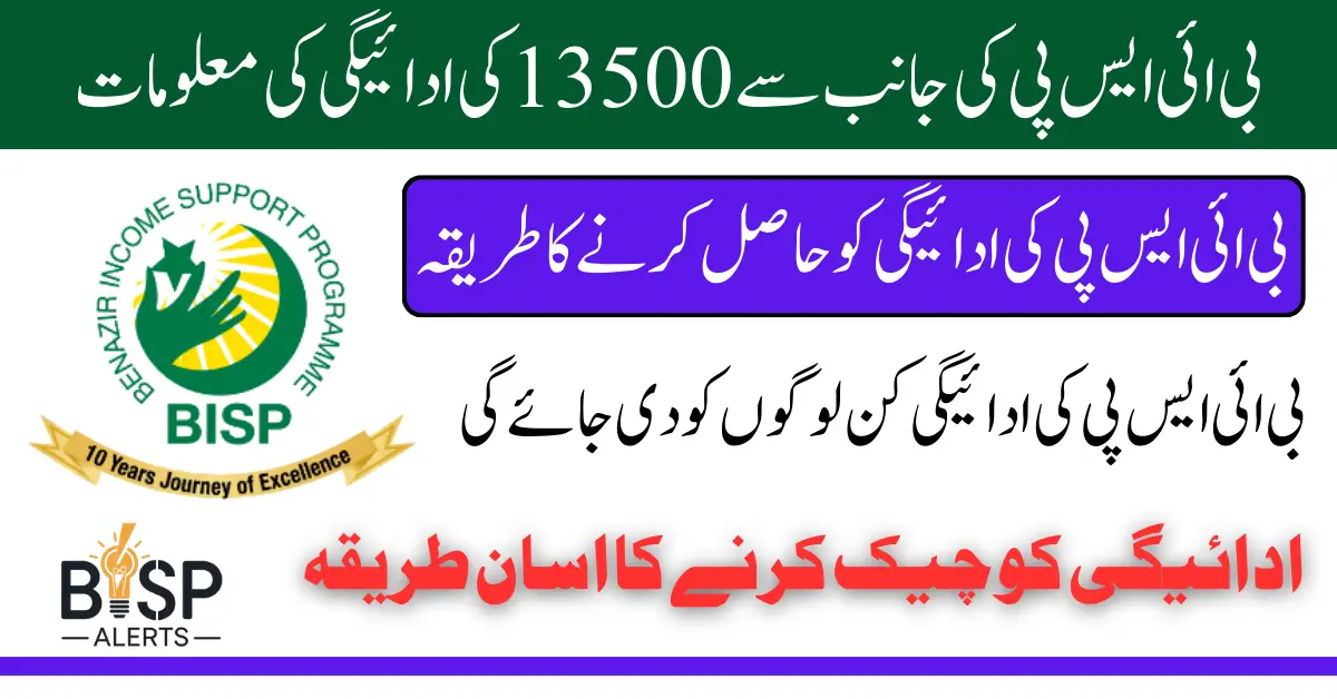 Benazir Income Support Programme BISP Registration Check