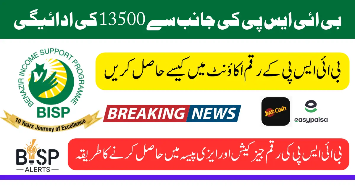 Bisp 8171 Digital Wallet System For Payment Verification Process