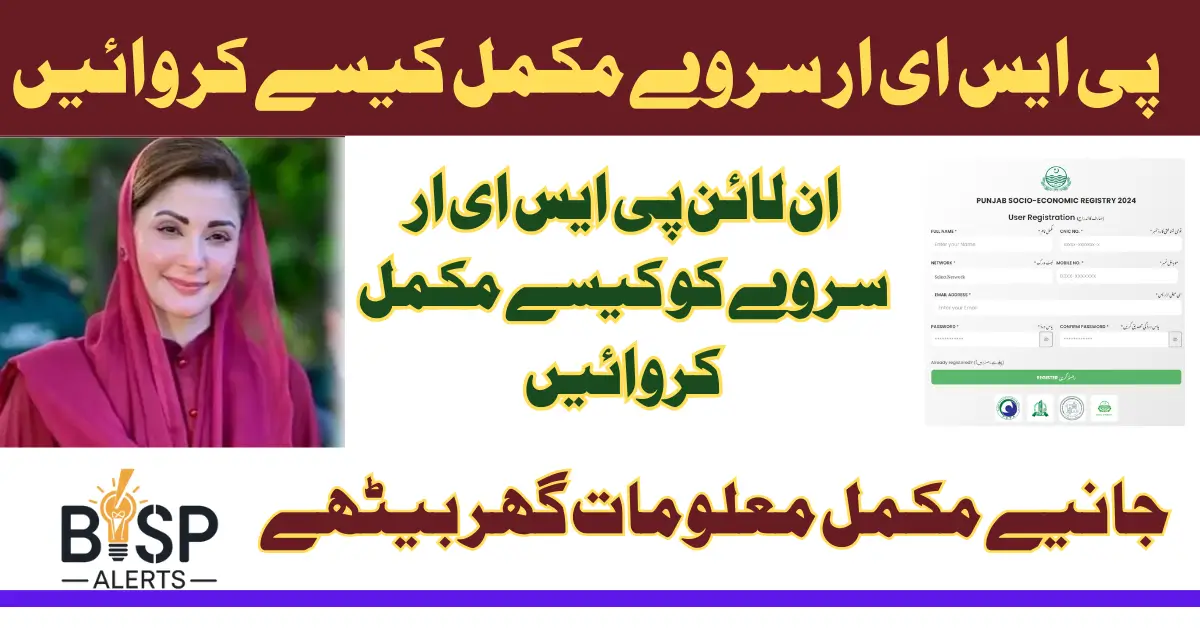 Punjab Socio-Economic Registration Portal 2025 PSER Login For Maryam Nawaz Programs