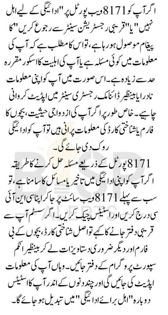 8171 BISP Web Portal Errors Explained Why Your Payment Was Not Received Full Details Inside