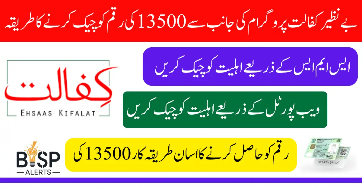 Benazir Kafaalat Program Eligibility Check Via 8171 Code 13500 Installment In 2025