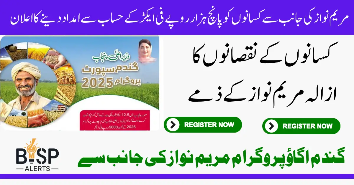 CM Punjab Wheat Support Program 2026 Complete Online Registration And Get 5000 Per Acer