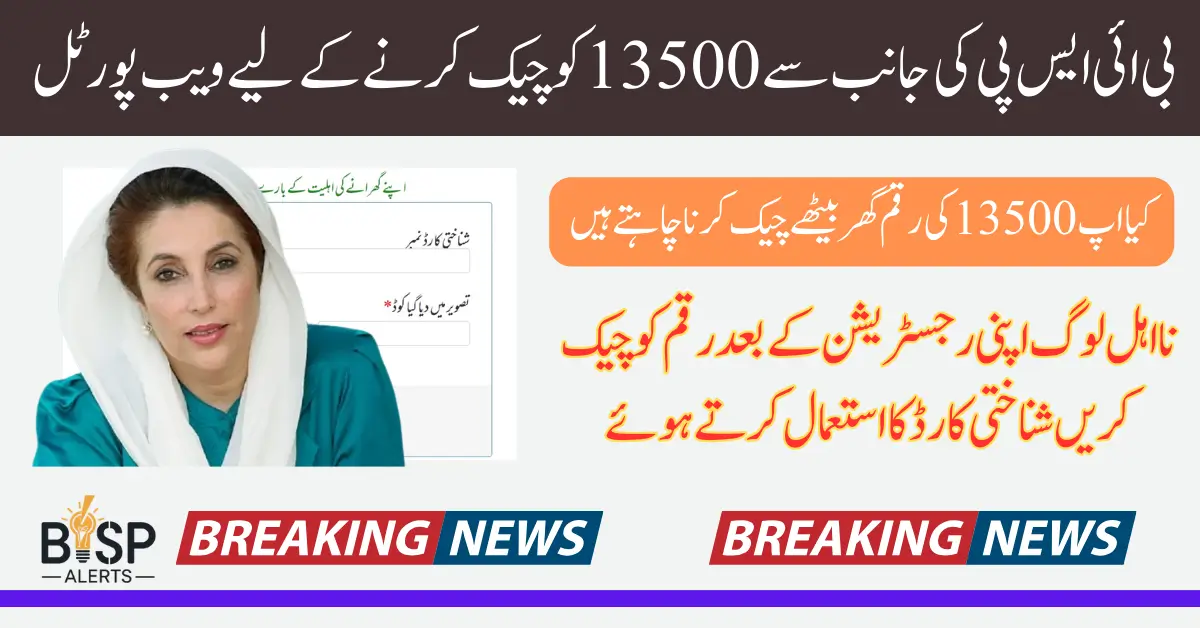 BISP 8171 Portal 2025 Check Eligibility Status Using CNIC Know Complete Details