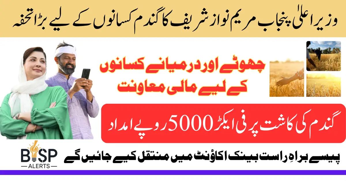 CM Punjab Wheat Support Program Latest Update 5000 Per Farmer Registration Start