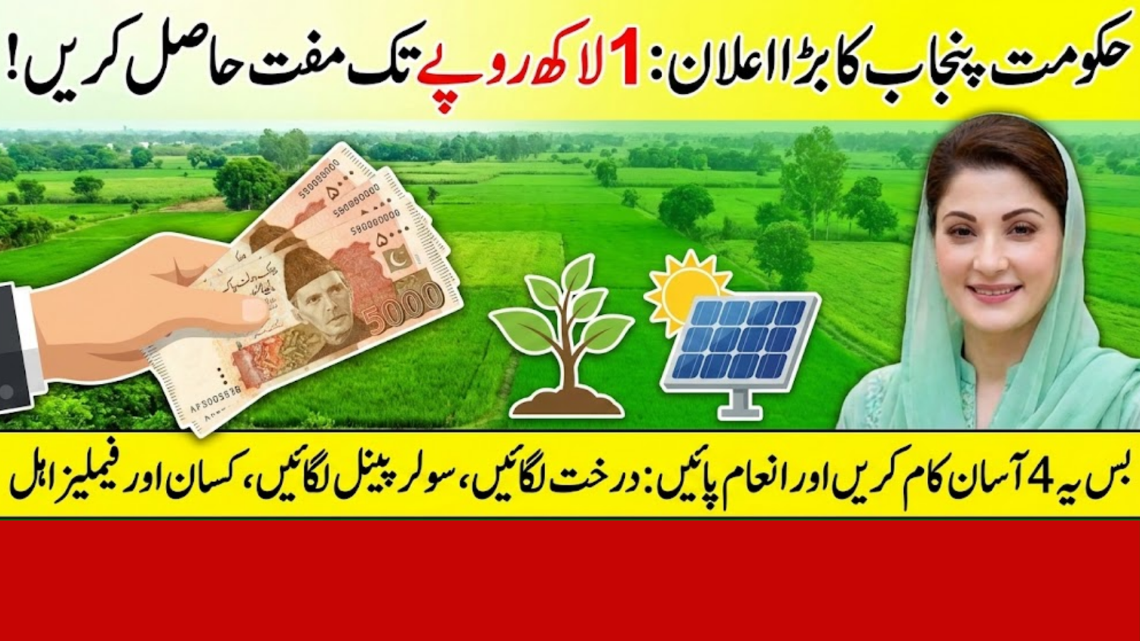 Green Credit Program: Earn Up to Rs100,000 – Full Step-by-Step Guide for Punjab Residents